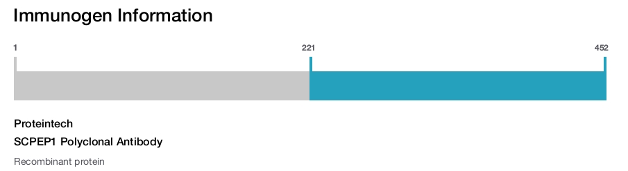 SCPEP1 Polyclonal Antibody