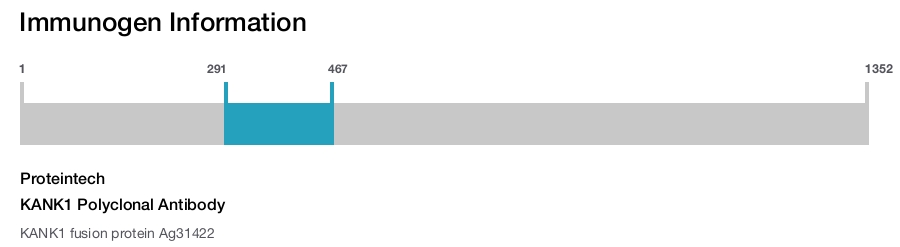 KANK1 Polyclonal Antibody