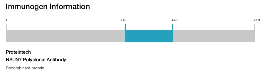 NSUN7 Polyclonal Antibody