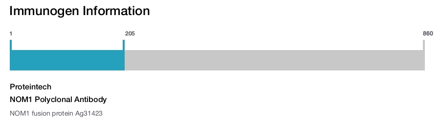 NOM1 Polyclonal Antibody