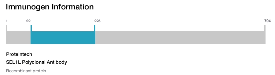 SEL1L Polyclonal Antibody