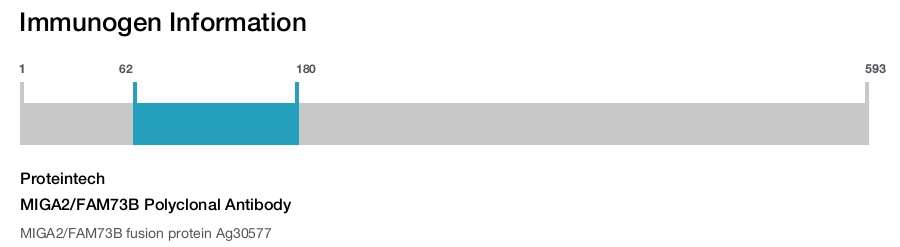 MIGA2/FAM73B Polyclonal Antibody