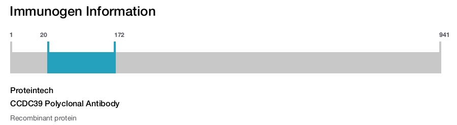 CCDC39 Polyclonal Antibody