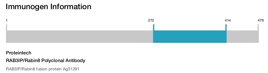 RAB3IP/Rabin8 Polyclonal Antibody