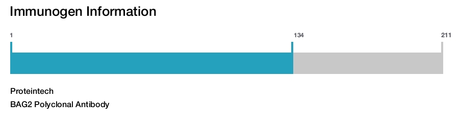 BAG2 Polyclonal Antibody