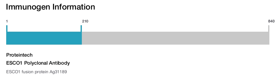 ESCO1 Polyclonal Antibody