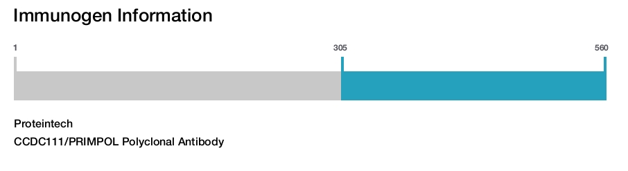 CCDC111/PRIMPOL Polyclonal Antibody