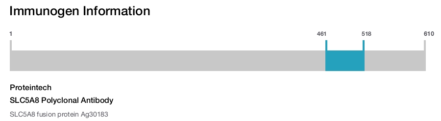 SLC5A8 Polyclonal Antibody