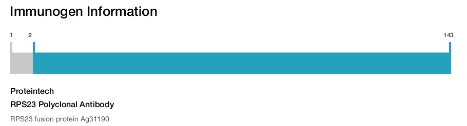 RPS23 Polyclonal Antibody
