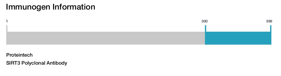 SIRT3 Polyclonal Antibody