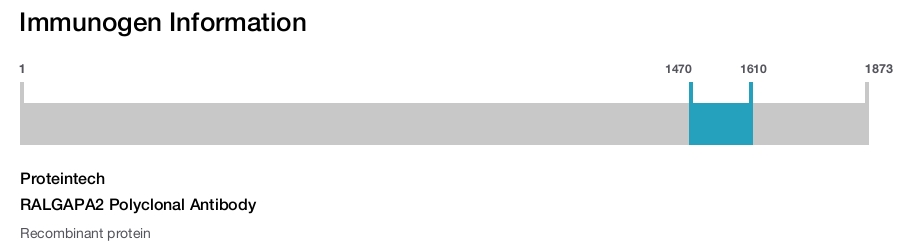 RALGAPA2 Polyclonal Antibody