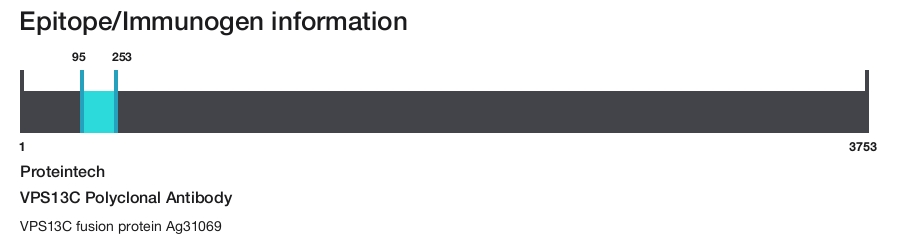 VPS13C Polyclonal Antibody