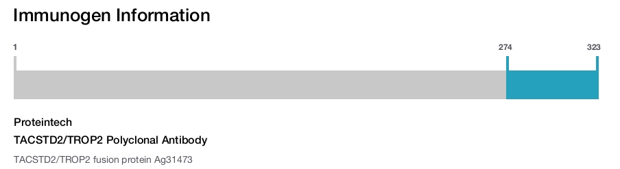 TACSTD2/TROP2 Polyclonal Antibody