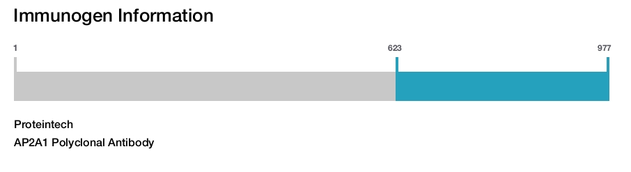 AP2A1 Polyclonal Antibody