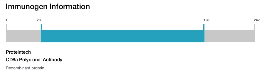 CD8a Polyclonal Antibody