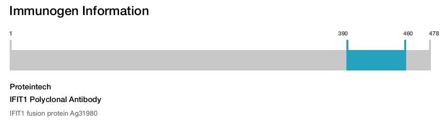 IFIT1 Polyclonal Antibody