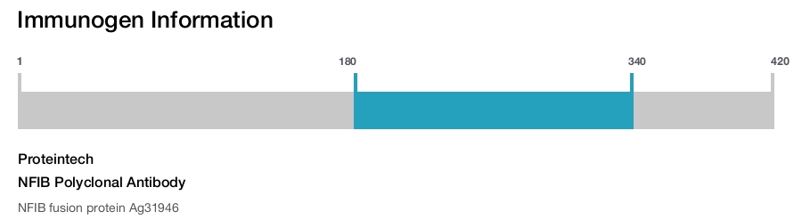 NFIB Polyclonal Antibody