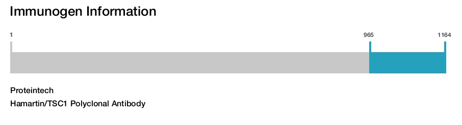 Hamartin/TSC1 Polyclonal Antibody