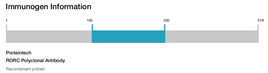RORC Polyclonal Antibody