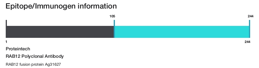 RAB12 Polyclonal Antibody