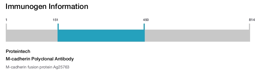 M-cadherin Polyclonal Antibody