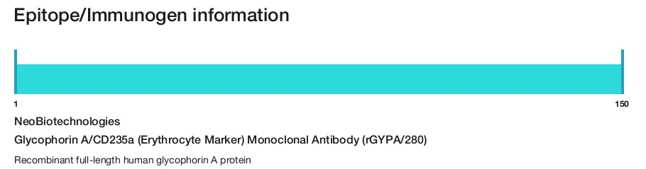Glycophorin A/CD235a (Erythrocyte Marker) Monoclonal Antibody (rGYPA/280)
