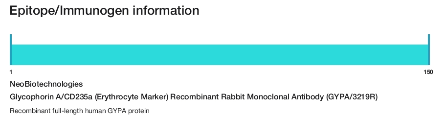 Glycophorin A/CD235a (Erythrocyte Marker) Recombinant Rabbit Monoclonal Antibody (GYPA/3219R)