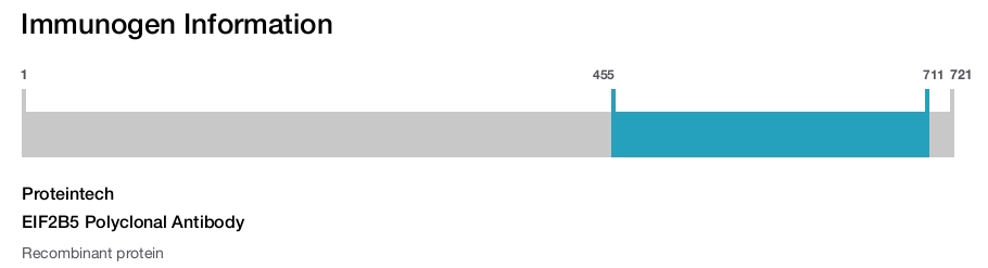 EIF2B5 Polyclonal Antibody