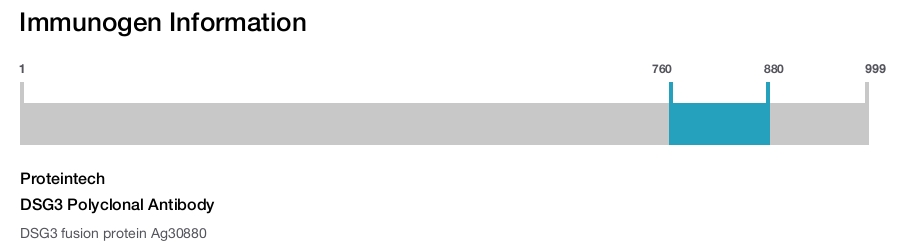 DSG3 Polyclonal Antibody