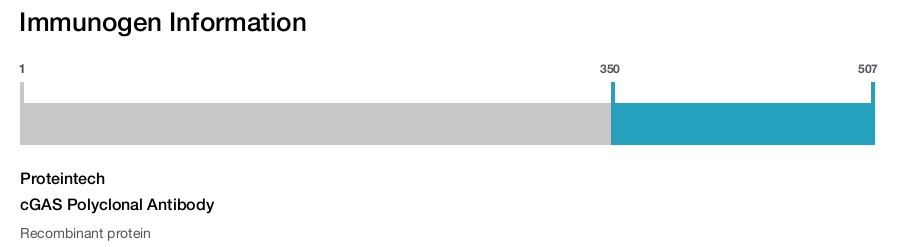 cGAS Polyclonal Antibody