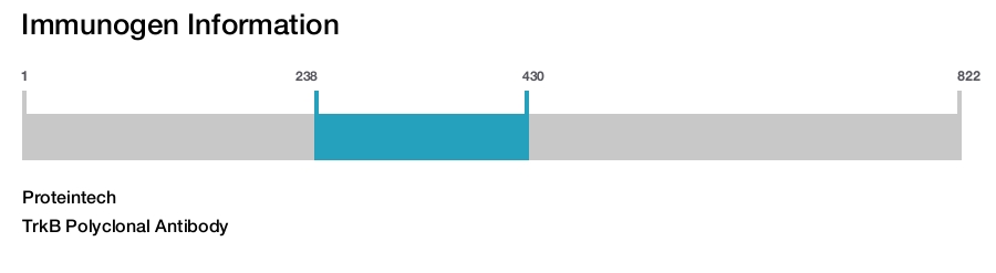 TrkB Polyclonal Antibody