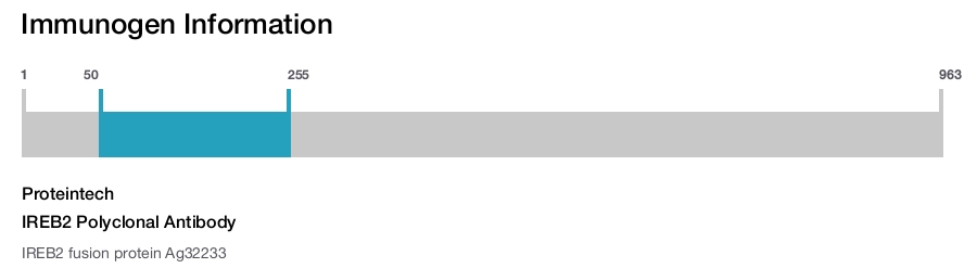 IREB2 Polyclonal Antibody