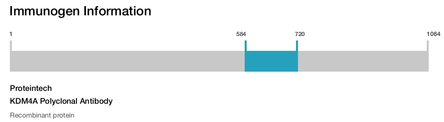 KDM4A Polyclonal Antibody