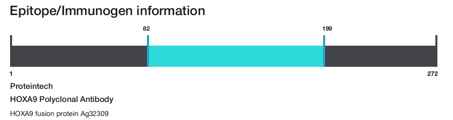 HOXA9 Polyclonal Antibody