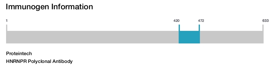 HNRNPR Polyclonal Antibody