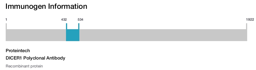 DICER1 Polyclonal Antibody