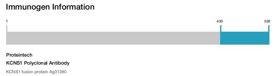 KCNS1 Polyclonal Antibody