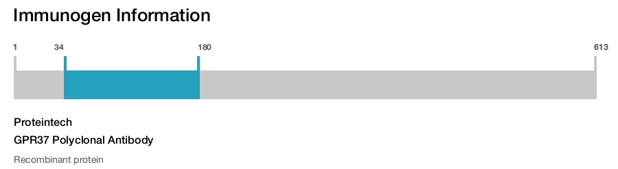 GPR37 Polyclonal Antibody