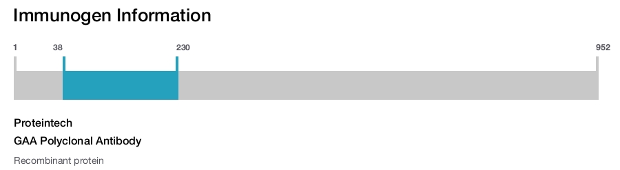 GAA Polyclonal Antibody