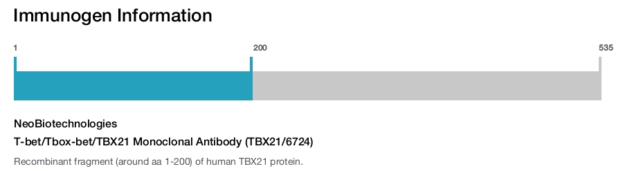 T-bet/Tbox-bet/TBX21 Monoclonal Antibody (TBX21/6724)