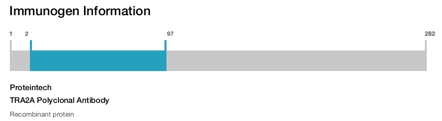TRA2A Polyclonal Antibody