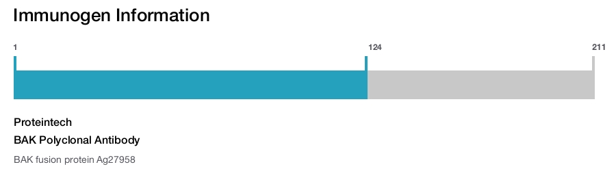 BAK Polyclonal Antibody