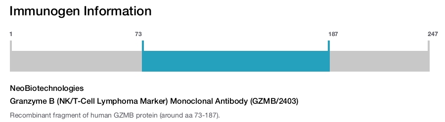 Granzyme B (NK/T-Cell Lymphoma Marker) Monoclonal Antibody (GZMB/2403)