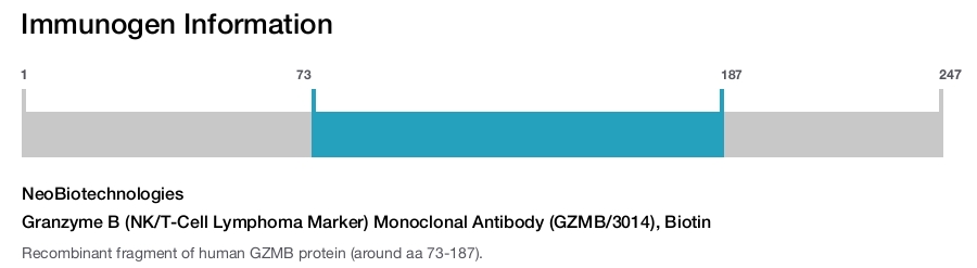 Granzyme B (NK/T-Cell Lymphoma Marker) Monoclonal Antibody (GZMB/3014), Biotin