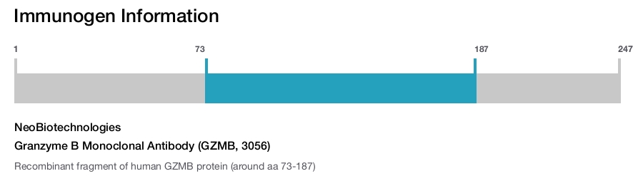 Granzyme B Monoclonal Antibody (GZMB, 3056)