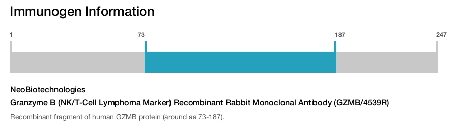Granzyme B (NK/T-Cell Lymphoma Marker) Recombinant Rabbit Monoclonal Antibody (GZMB/4539R)