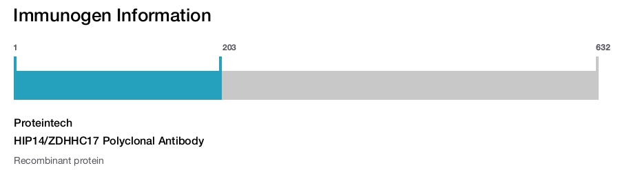 HIP14/ZDHHC17 Polyclonal Antibody