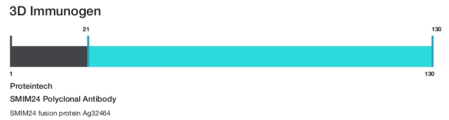 SMIM24 Polyclonal Antibody