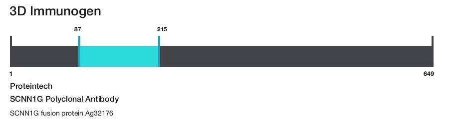 SCNN1G Polyclonal Antibody