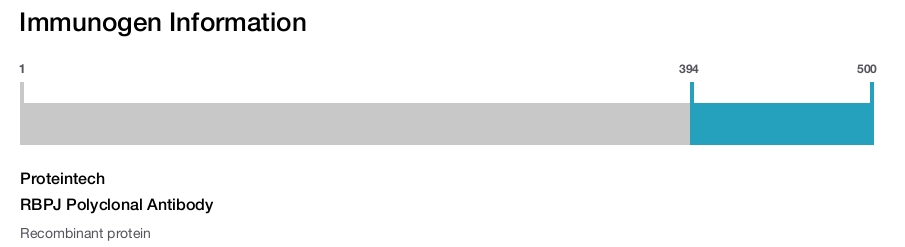 RBPJ Polyclonal Antibody